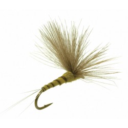 CDC Biot Comparadun BWO - Umpqua