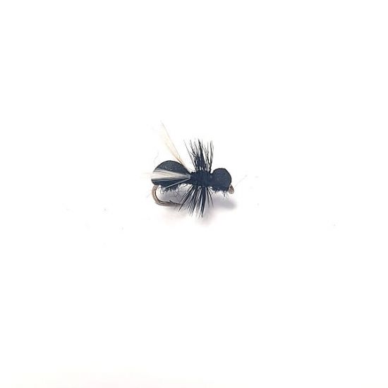 Fly Ant - Black