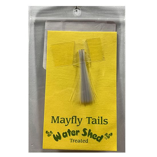 Mayfly Tail