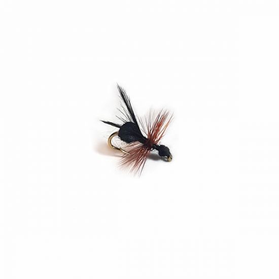 Black Ant Flying