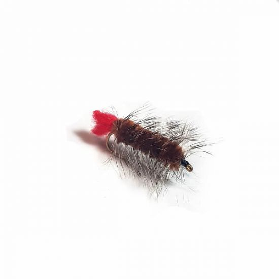 Woolly Worm - Brown
