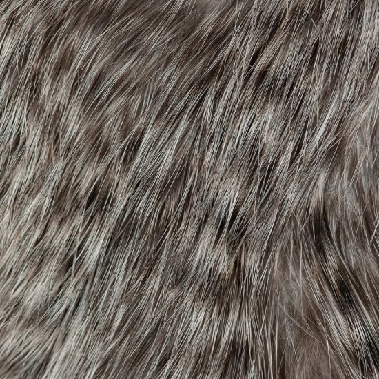 Bird Fur