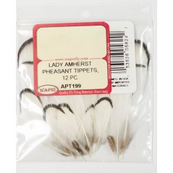Lady Amherst Pheasant Tippet
