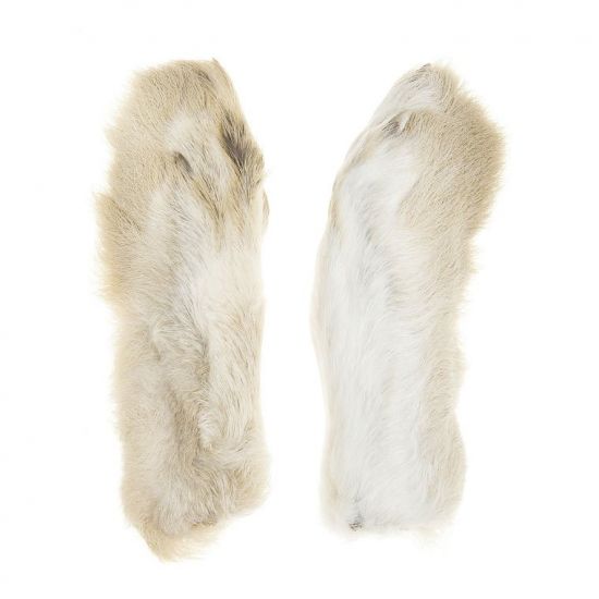 Hares Feet Natural White