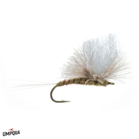 CDC Green Drake Parachute