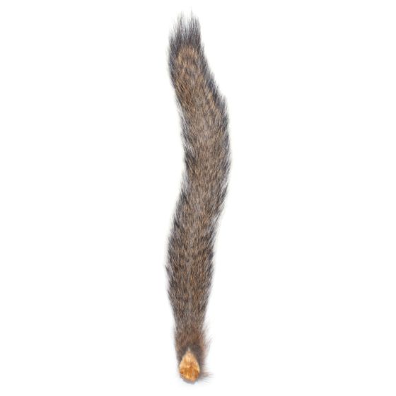 Squirrel Tail - Natural Gray