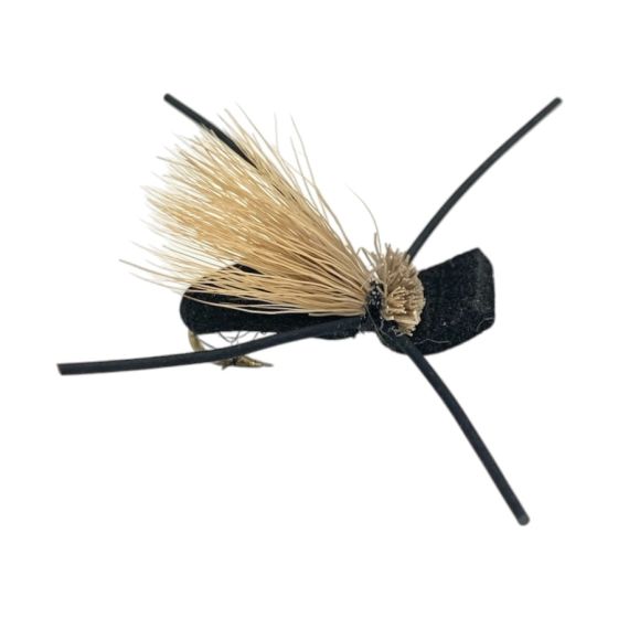 Foam Beetle