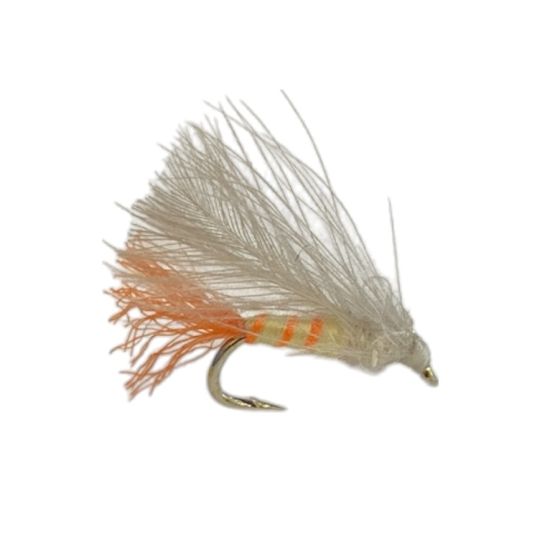Cornfed Sally CDC