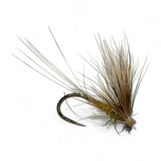 CDC May Fly - SP