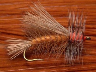 Stimulator