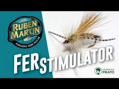 Fer Stimulator