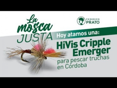 HiVis Cripple Emerger