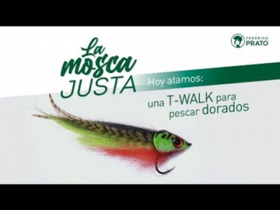 T-Walk