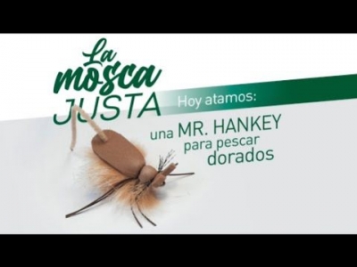 Mr. Hankey