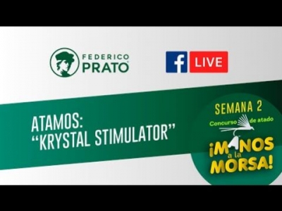 Krystal Stimulator